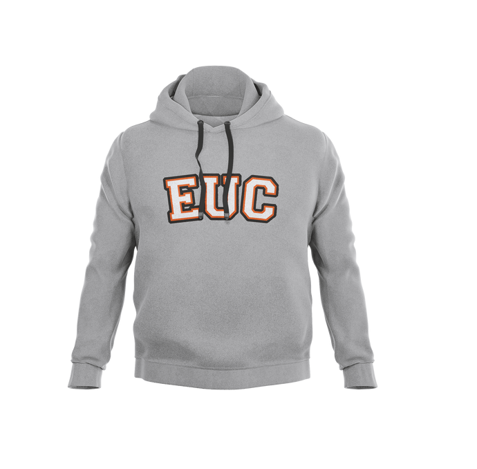 Grey EUC hoodie